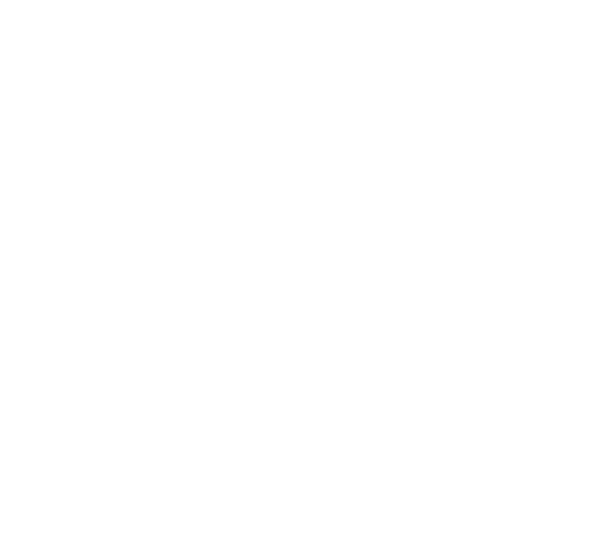 fns-icon-white